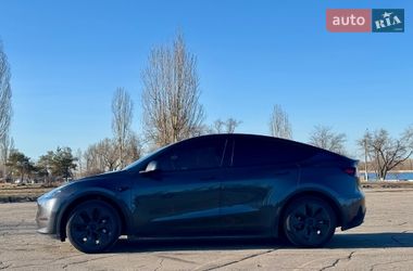 Внедорожник / Кроссовер Tesla Model Y 2024 в Каменском