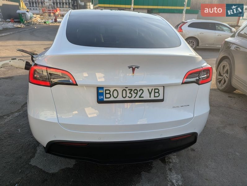 Внедорожник / Кроссовер Tesla Model Y 2021 в Тернополе