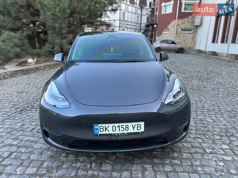 Внедорожник / Кроссовер Tesla Model Y 2023 в Ровно