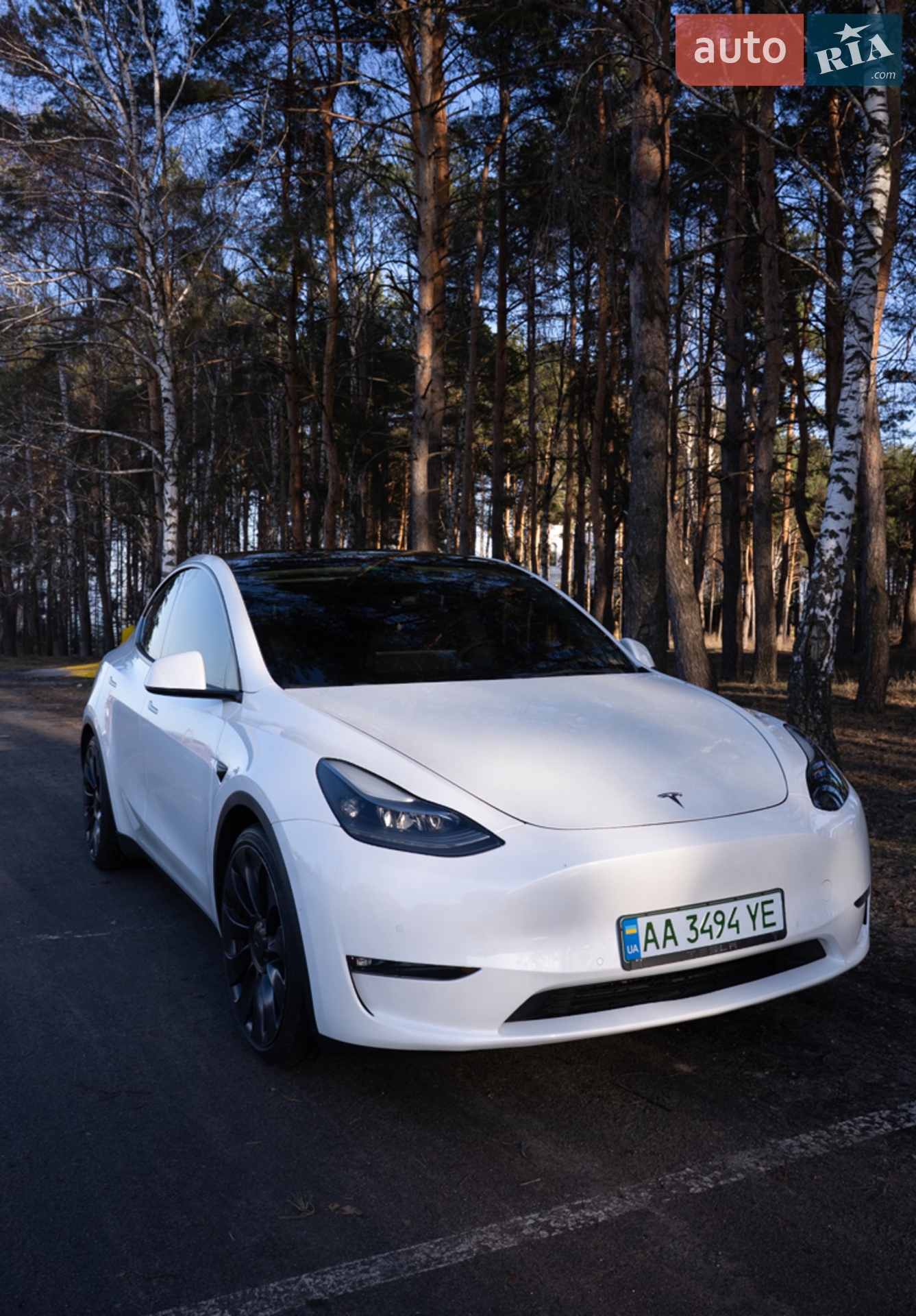 2021 Tesla Model Y - фото 1
