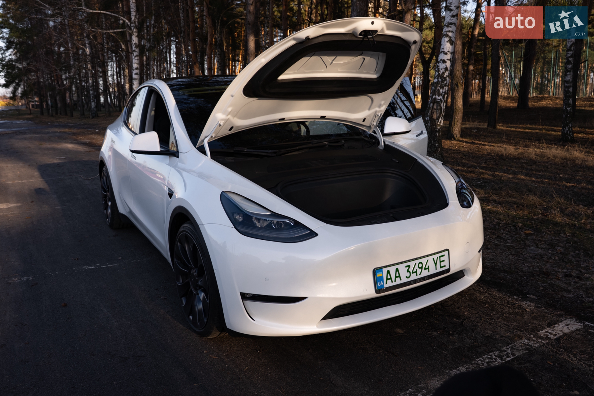 2021 Tesla Model Y - мініатюра 9