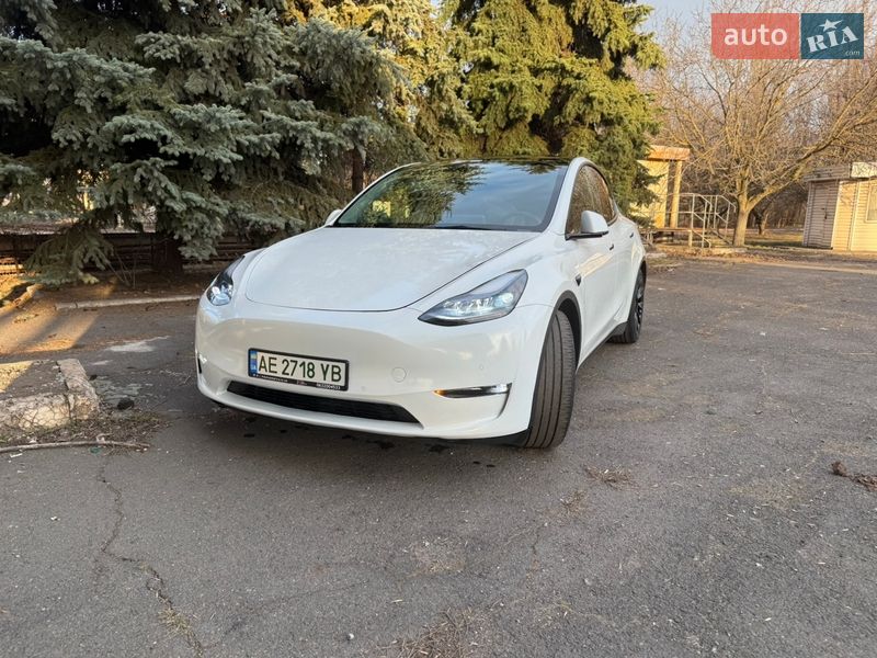 Позашляховик / Кросовер Tesla Model Y 2021 в Кривому Розі