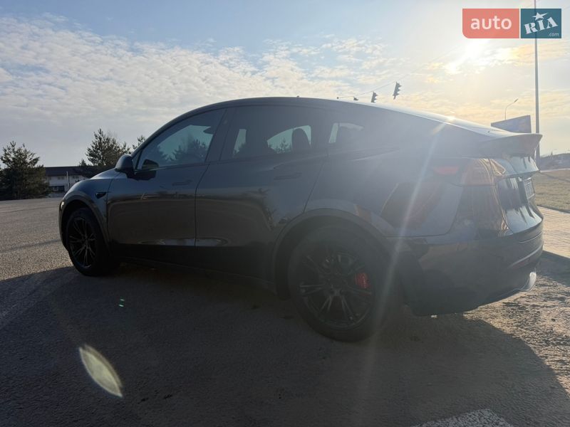 Внедорожник / Кроссовер Tesla Model Y 2024 в Буче