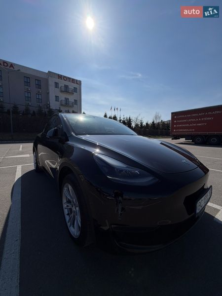 Позашляховик / Кросовер Tesla Model Y 2024 в Львові