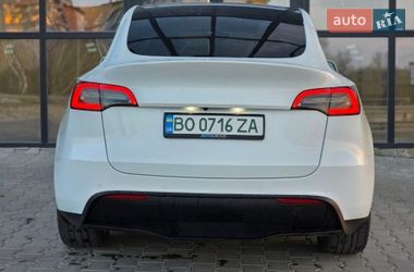 Внедорожник / Кроссовер Tesla Model Y 2022 в Тернополе
