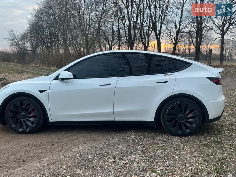 Внедорожник / Кроссовер Tesla Model Y 2020 в Самборе