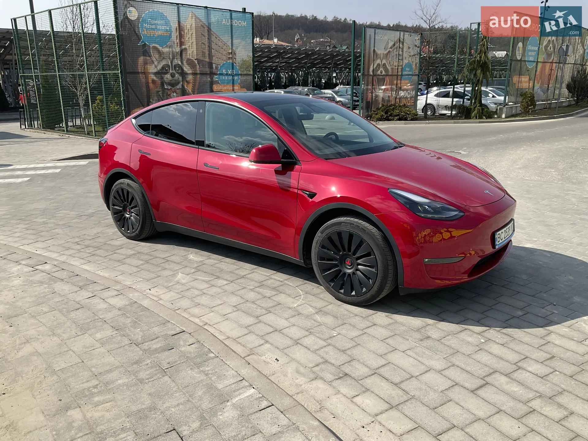 2023 Tesla Model Y - фото 1