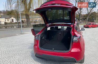 Позашляховик / Кросовер Tesla Model Y 2023 в Львові