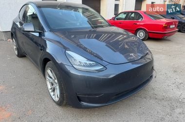 Позашляховик / Кросовер Tesla Model Y 2023 в Києві