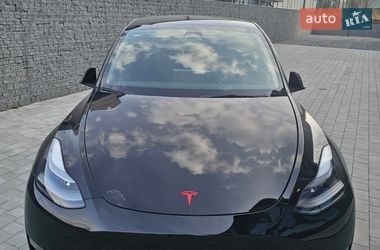 Внедорожник / Кроссовер Tesla Model Y 2023 в Киеве