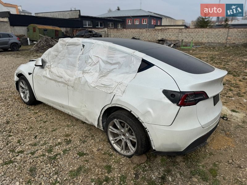 Позашляховик / Кросовер Tesla Model Y 2023 в Самборі фото 5 Позашляховик / Кросовер Tesla Model Y 2023 в Самборі