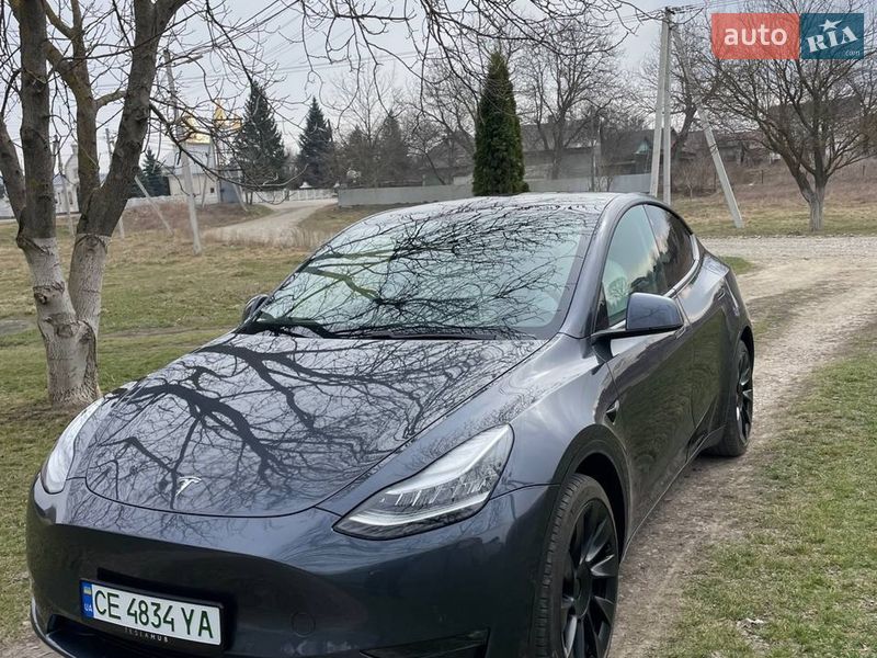 Позашляховик / Кросовер Tesla Model Y 2020 в Чернівцях фото 2 Позашляховик / Кросовер Tesla Model Y 2020 в Чернівцях