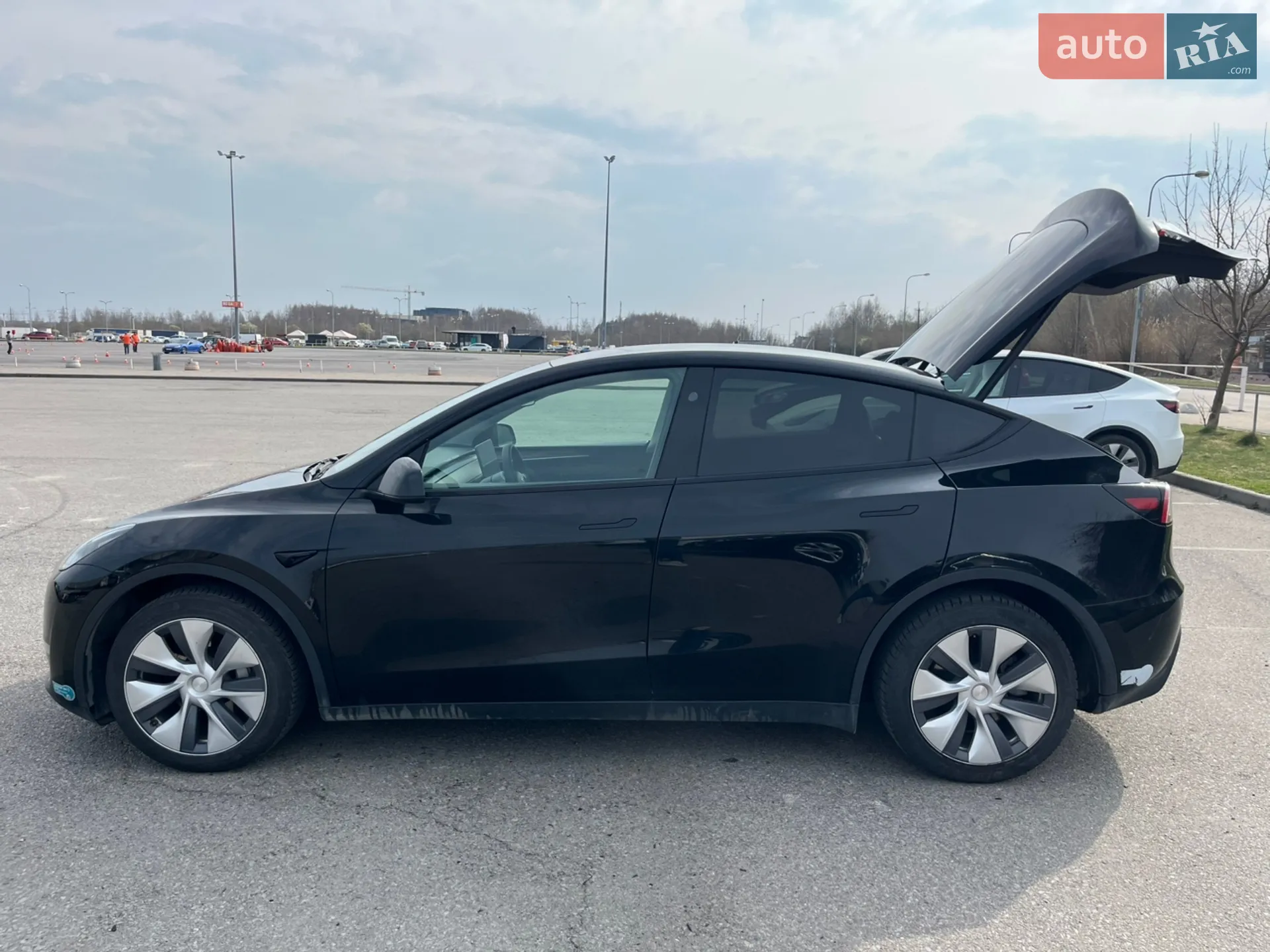 Tesla Model Y 2024 VIN 7SAYGDEE0RF078242 фото оголошення 15 з 15
