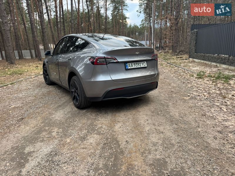 Позашляховик / Кросовер Tesla Model Y 2024 в Києві