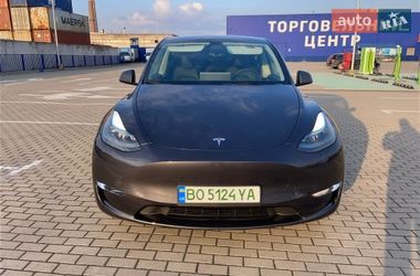 Позашляховик / Кросовер Tesla Model Y 2024 в Тернополі