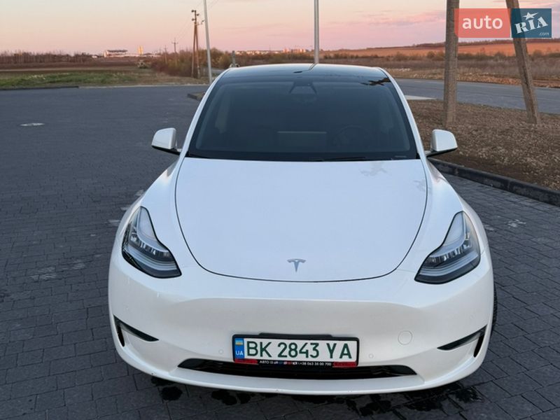 Позашляховик / Кросовер Tesla Model Y 2020 в Львові