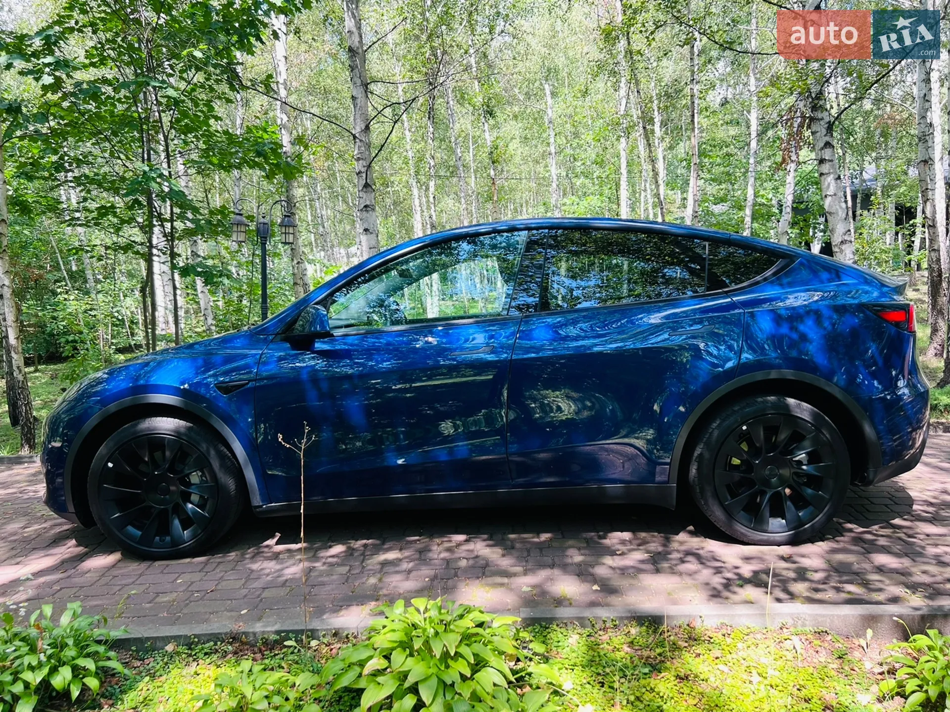 2023 Tesla Model Y - мініатюра 31