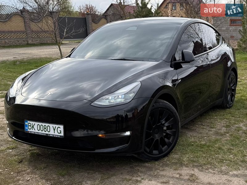Внедорожник / Кроссовер Tesla Model Y 2023 в Костополе