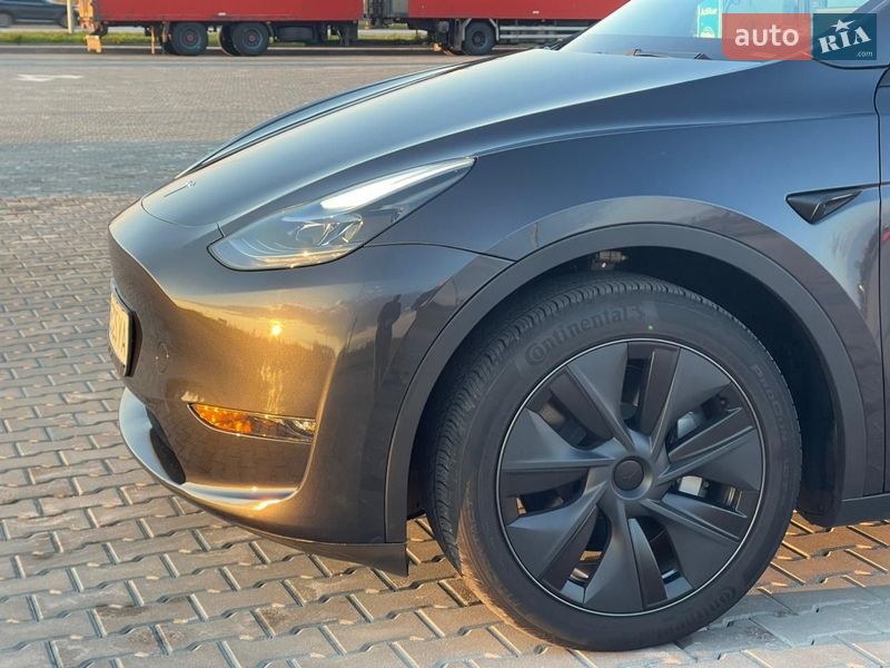 Позашляховик / Кросовер Tesla Model Y 2024 в Житомирі