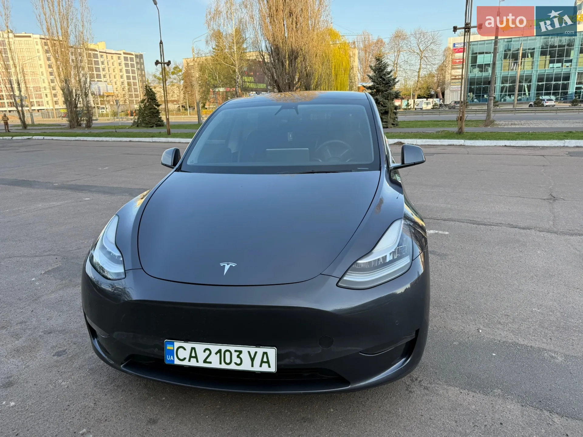 2021 Tesla Model Y - фото 1