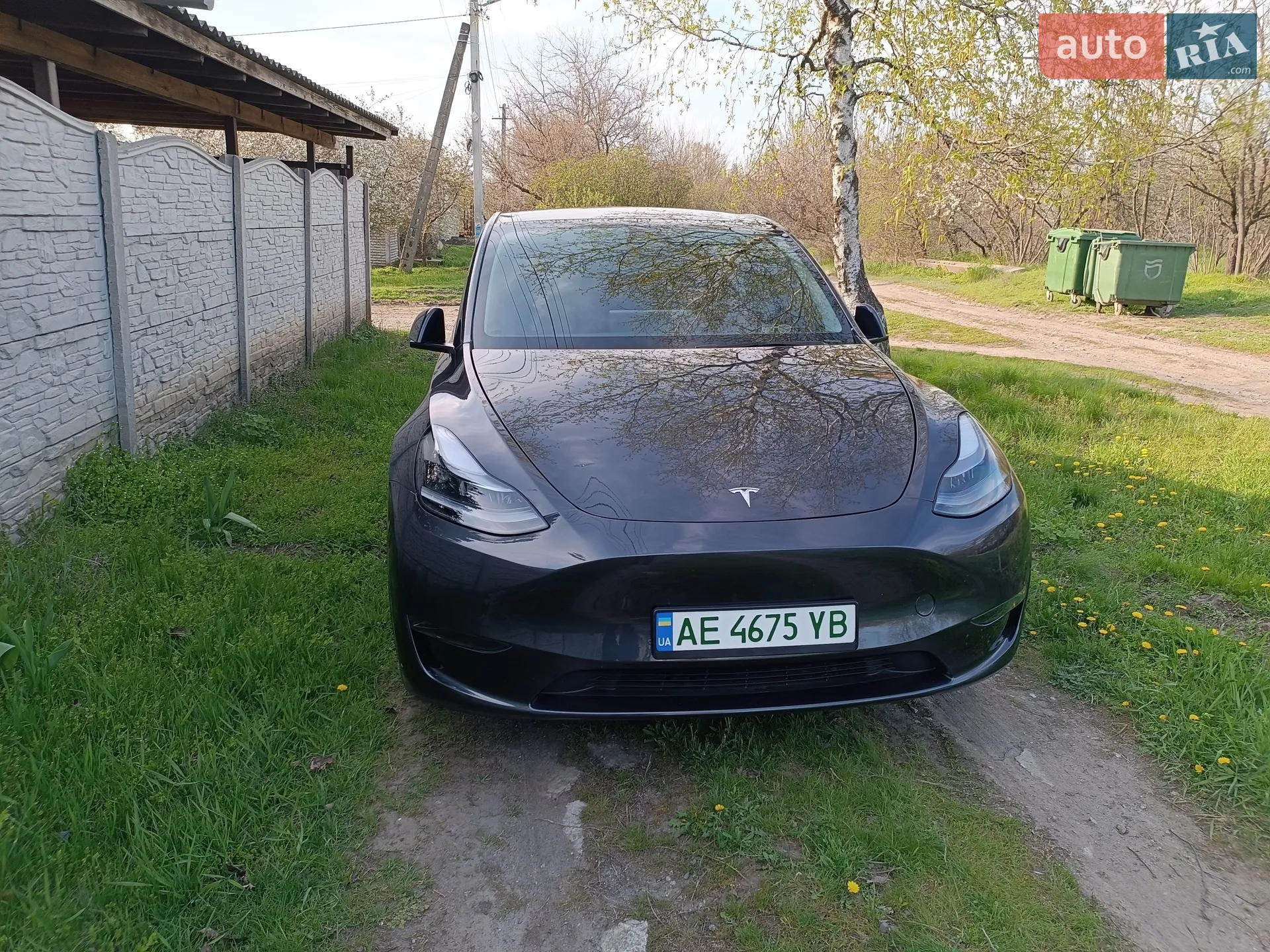 2025 Tesla Model Y - фото 1
