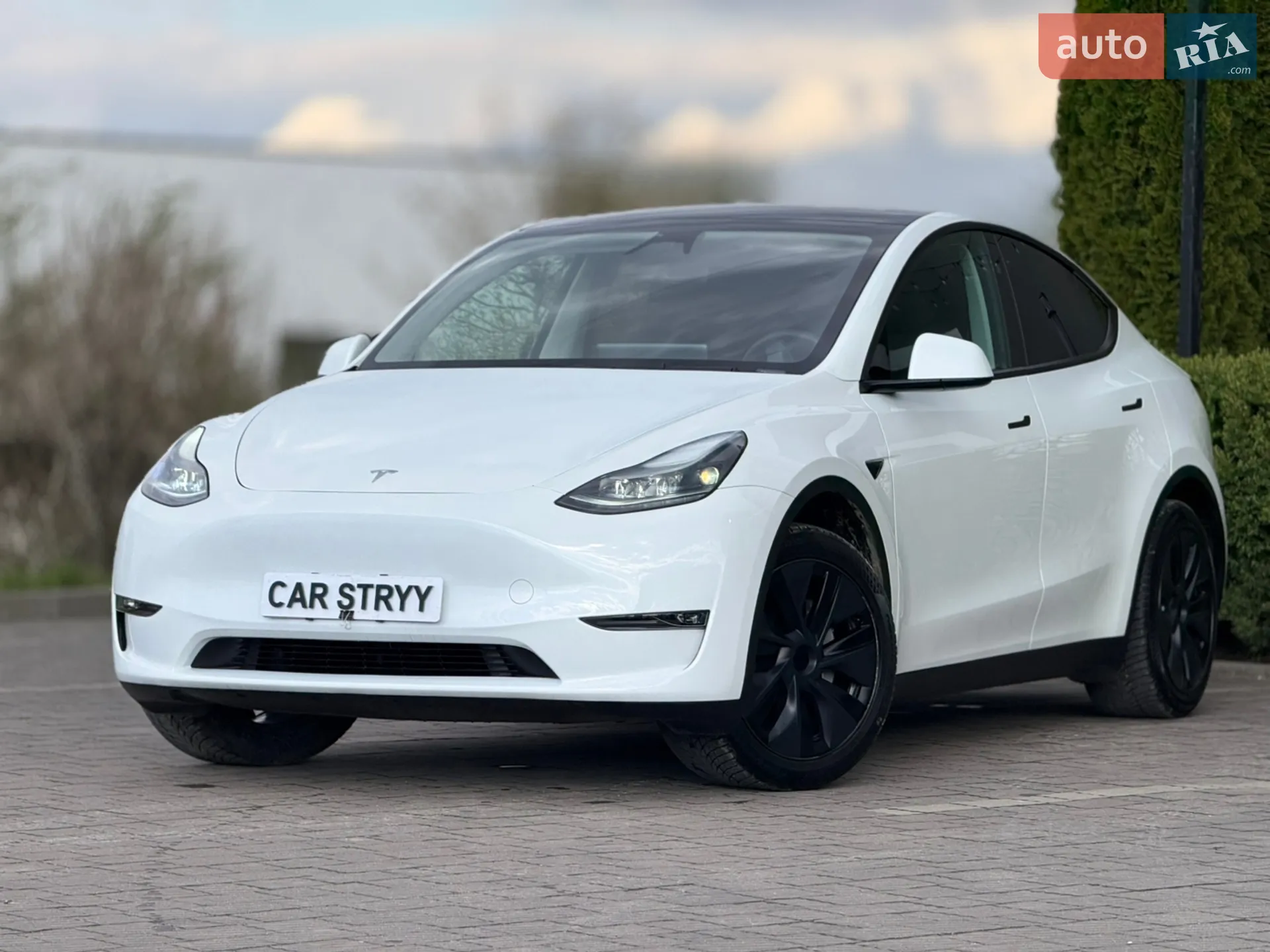 2024 Tesla Model Y - мініатюра 6