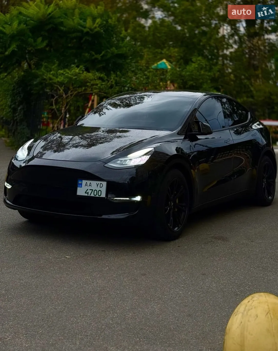 2020 Tesla Model Y - мініатюра 2