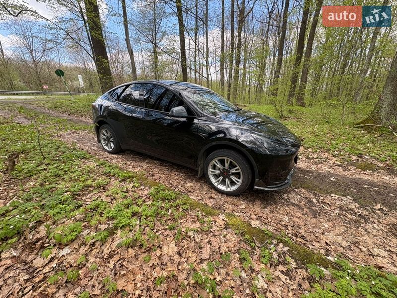 Внедорожник / Кроссовер Tesla Model Y 2020 в Львове