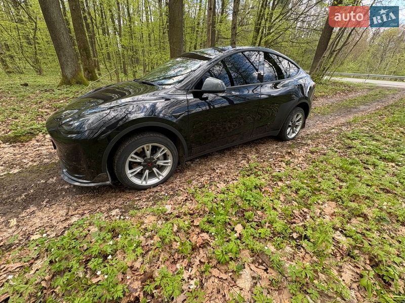 Внедорожник / Кроссовер Tesla Model Y 2020 в Львове