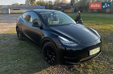 Внедорожник / Кроссовер Tesla Model Y 2021 в Бродах