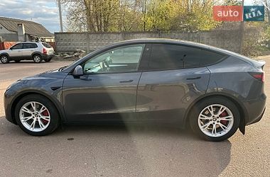 Внедорожник / Кроссовер Tesla Model Y 2023 в Чернигове