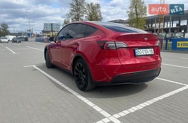 Внедорожник / Кроссовер Tesla Model Y 2023 в Тернополе