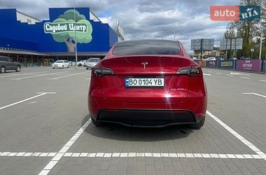 Внедорожник / Кроссовер Tesla Model Y 2023 в Тернополе
