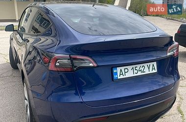 Позашляховик / Кросовер Tesla Model Y 2021 в Запоріжжі