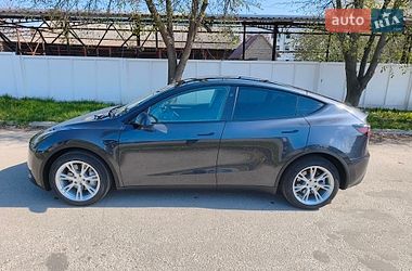 Внедорожник / Кроссовер Tesla Model Y 2024 в Сквире