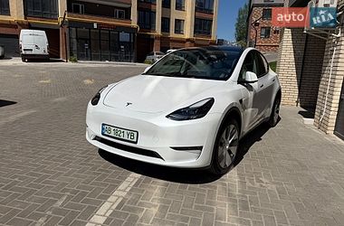Внедорожник / Кроссовер Tesla Model Y 2024 в Житомире