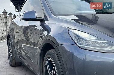 Внедорожник / Кроссовер Tesla Model Y 2020 в Дубно