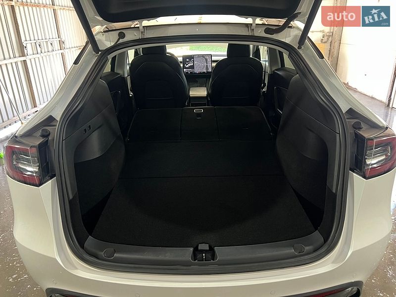 Внедорожник / Кроссовер Tesla Model Y 2020 в Виннице