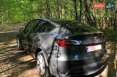 Внедорожник / Кроссовер Tesla Model Y 2022 в Житомире