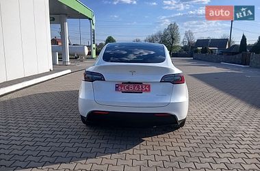 Внедорожник / Кроссовер Tesla Model Y 2023 в Калиновке