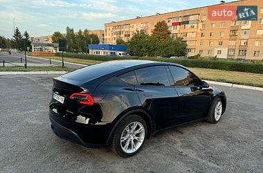 Позашляховик / Кросовер Tesla Model Y 2021 в Сумах