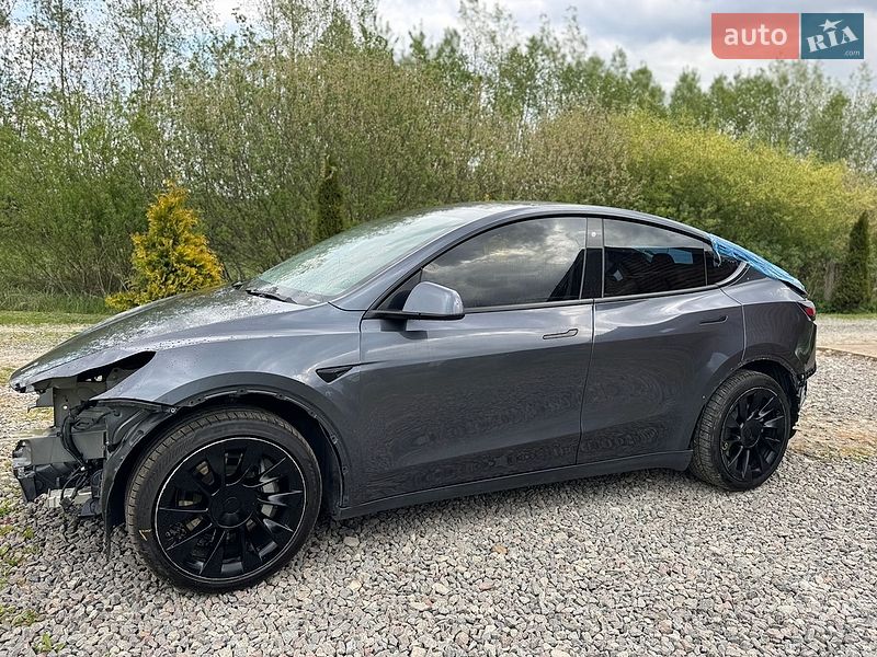 Позашляховик / Кросовер Tesla Model Y 2020 в Яворові