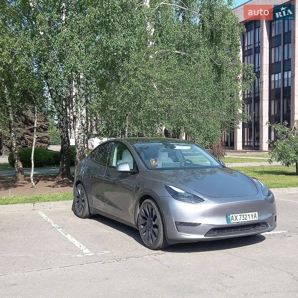 2024 Tesla Model Y - мініатюра 40