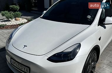 Внедорожник / Кроссовер Tesla Model Y 2022 в Житомире