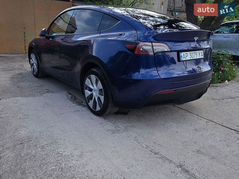 Внедорожник / Кроссовер Tesla Model Y 2023 в Запорожье