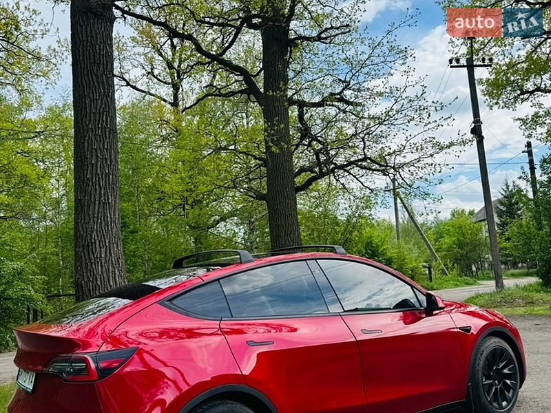 Позашляховик / Кросовер Tesla Model Y 2021 в Житомирі