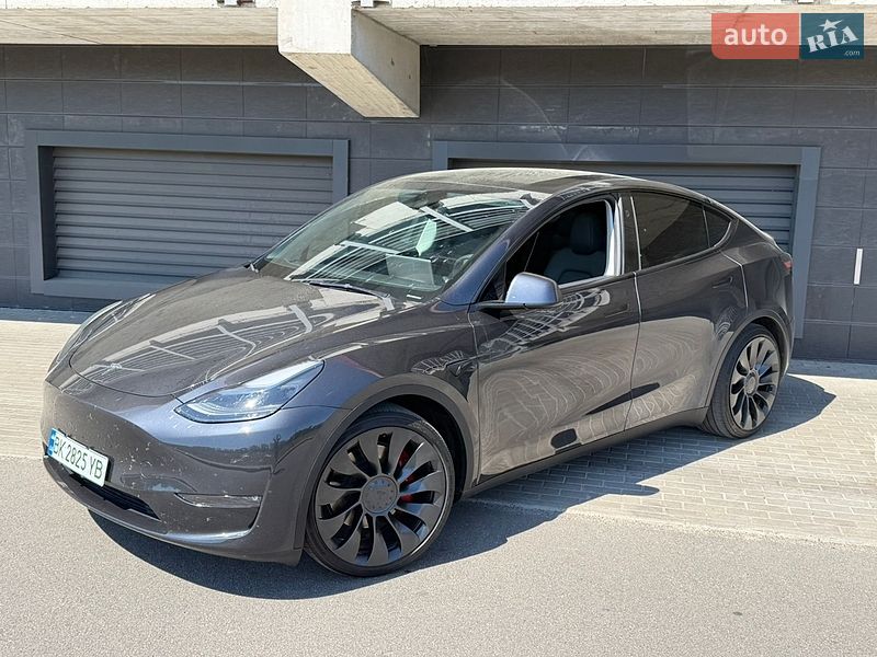 Позашляховик / Кросовер Tesla Model Y 2024 в Києві