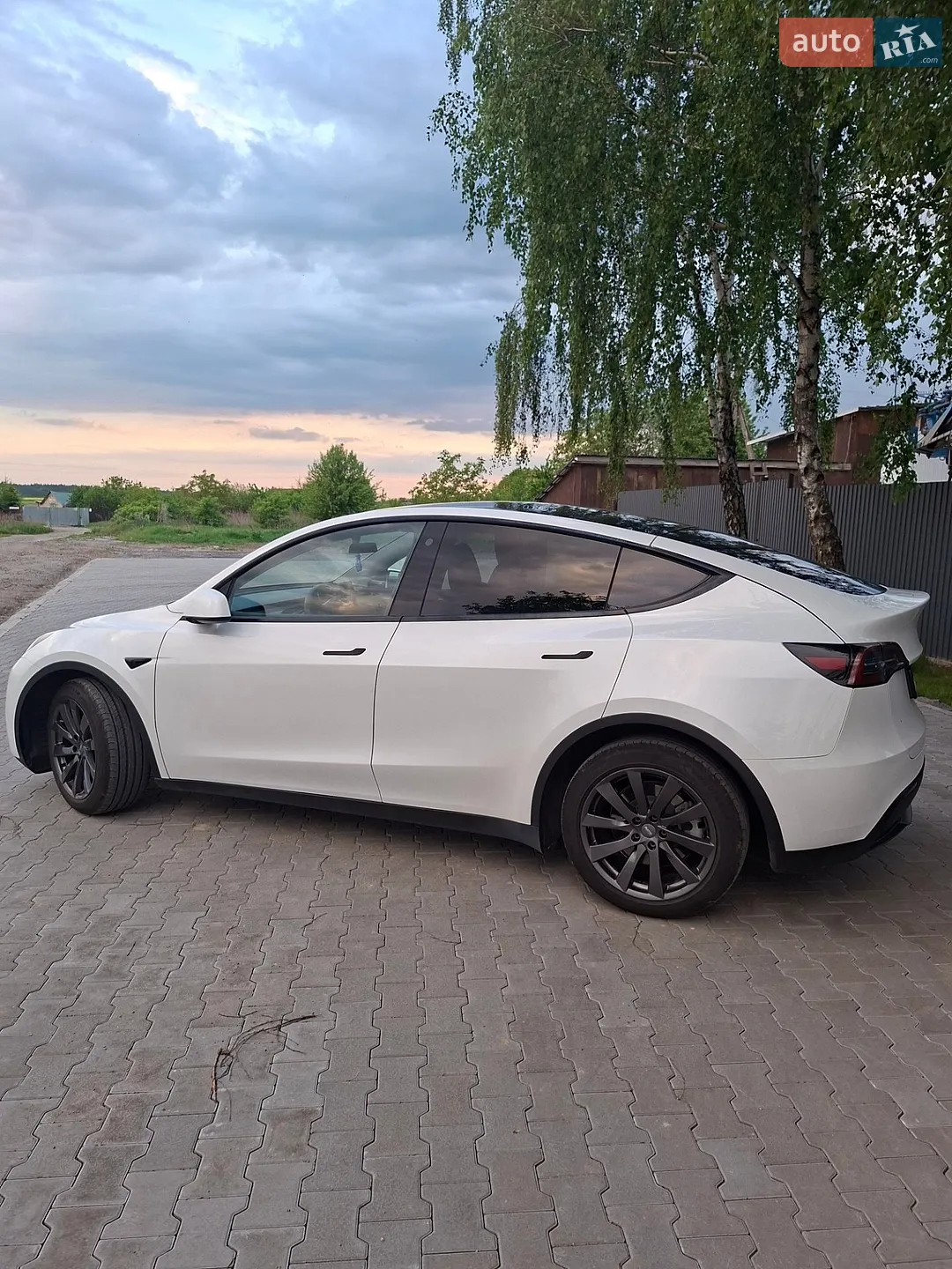 2023 Tesla Model Y - мініатюра 13