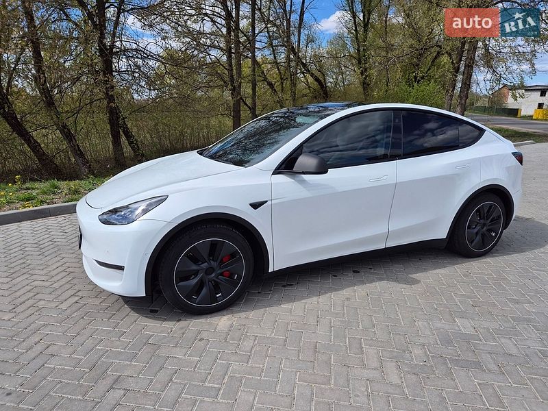 Внедорожник / Кроссовер Tesla Model Y 2021 в Луцке