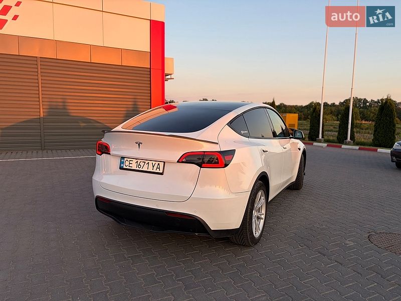 Внедорожник / Кроссовер Tesla Model Y 2021 в Черновцах